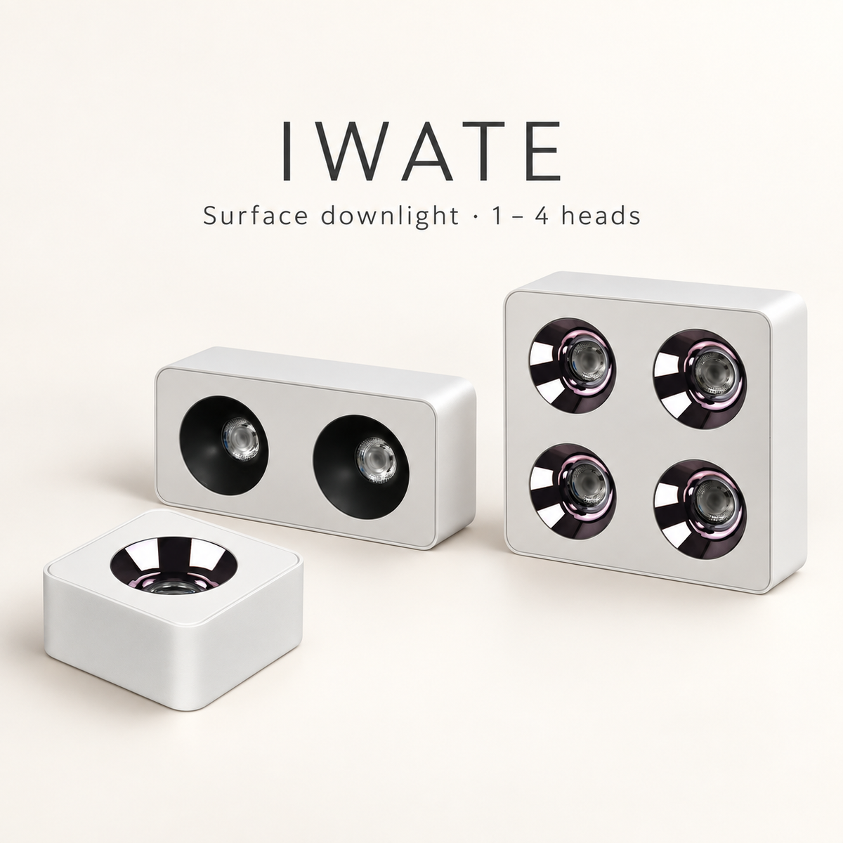 IWATE Surface Downlight | 1–4 Heads