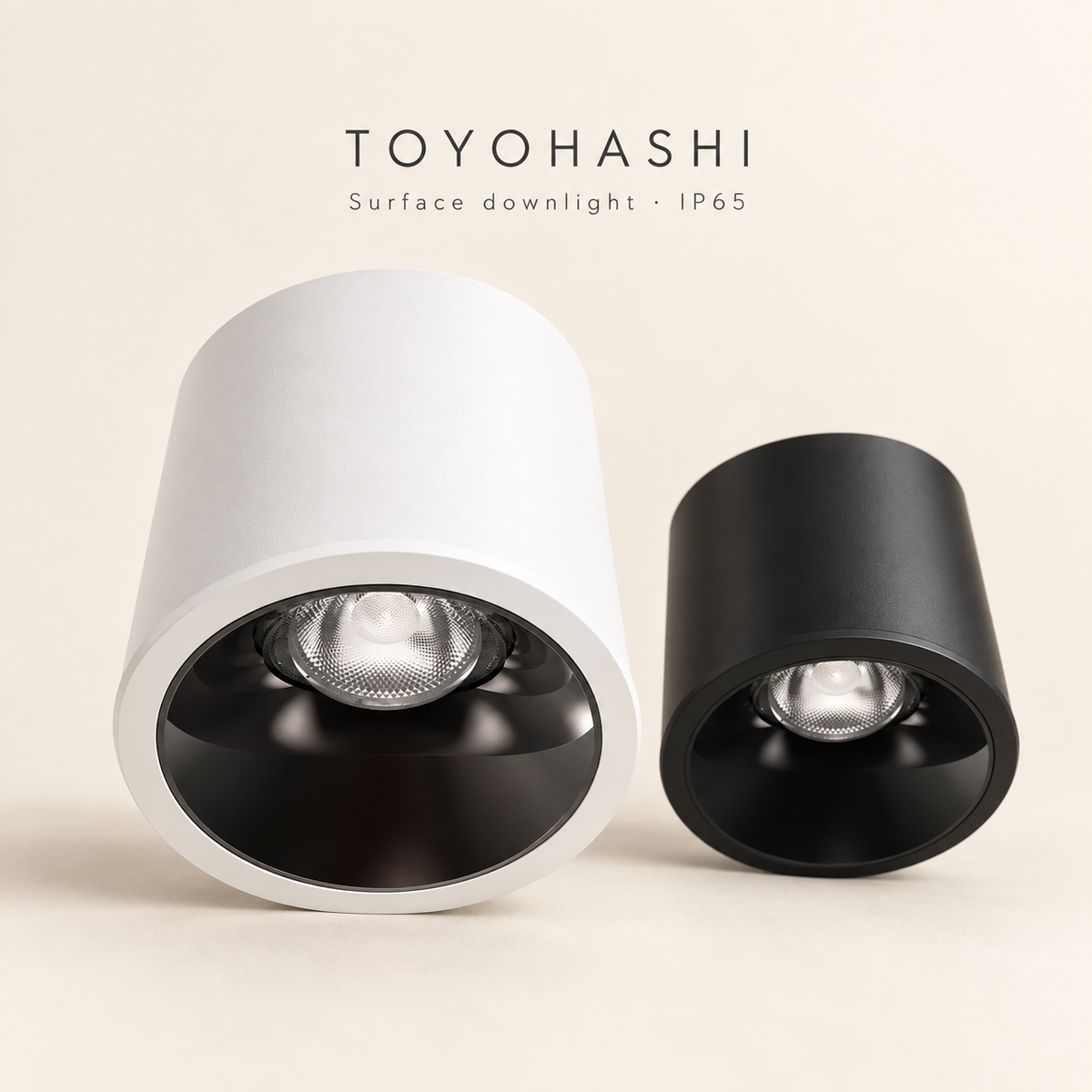 TOYOHASHI Surface Downlight | IP65