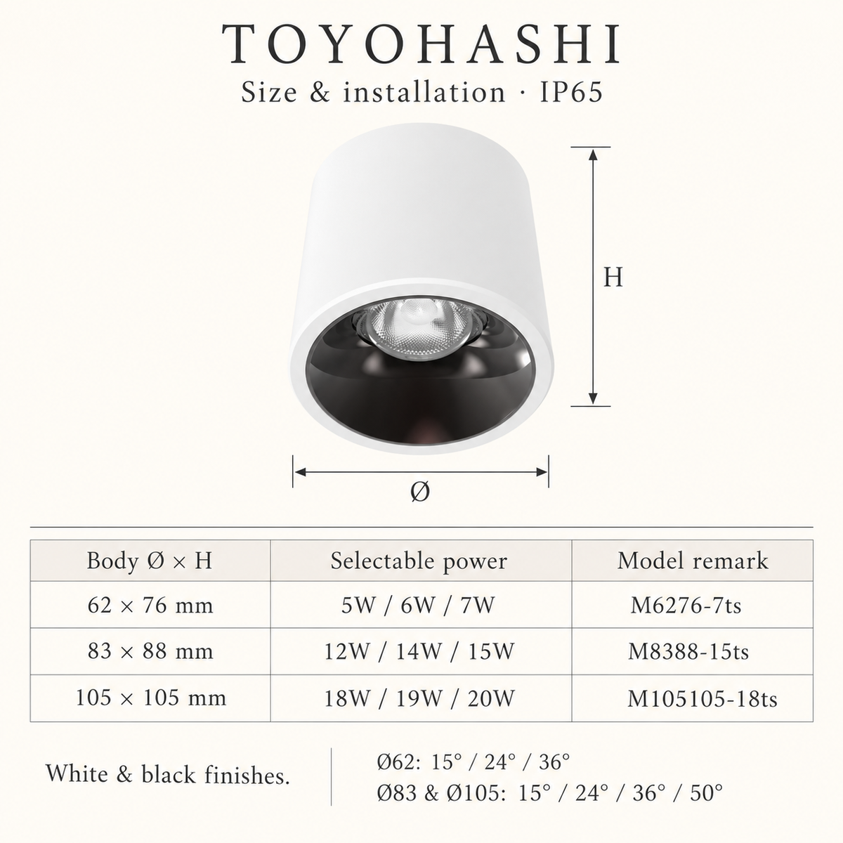 TOYOHASHI Surface Downlight | IP65